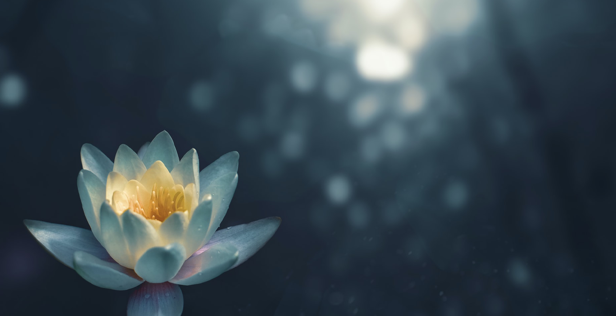 Meditationskväll
