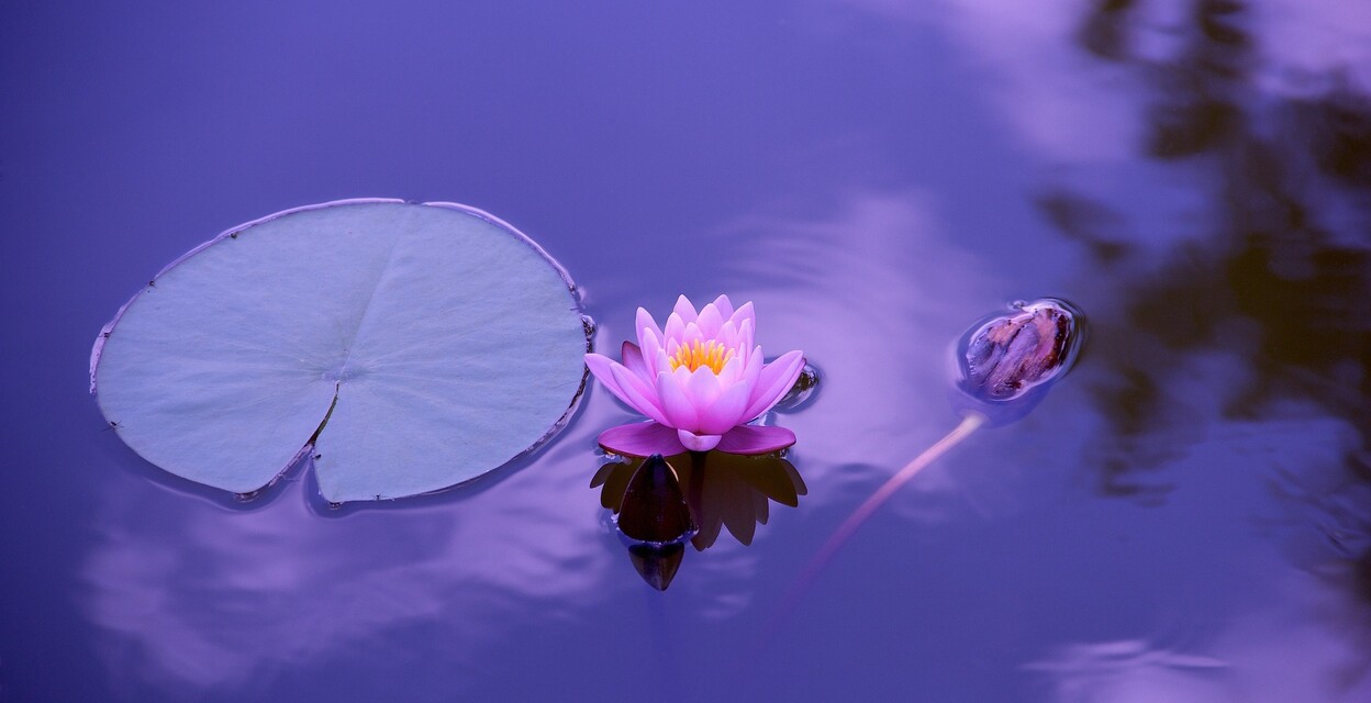 Meditationsworkshop