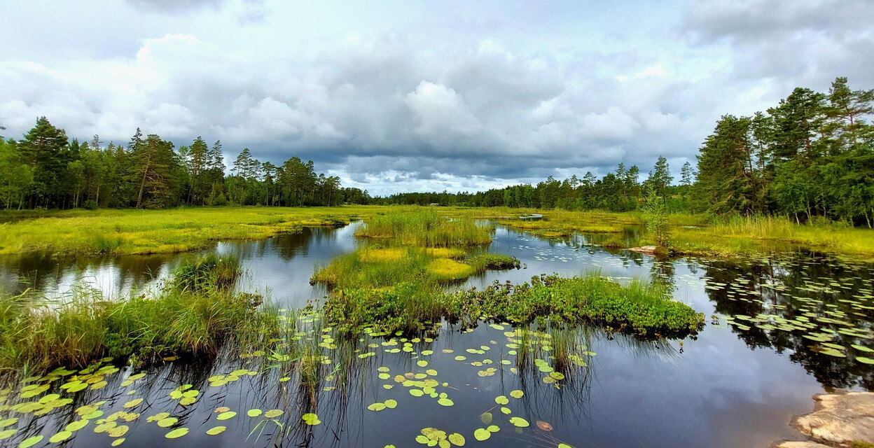 Höstpaddling på Stora Masugnsträsket